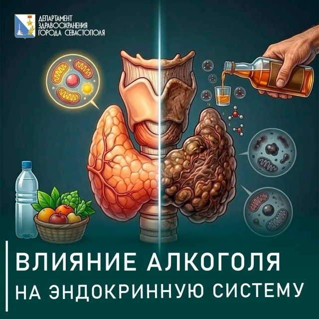 Иллюстрация к новости «Алкоголь и эндокринная система: хроника немирного сосуществования»